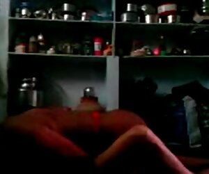 Kedi şempanzeler: sex türk hd D